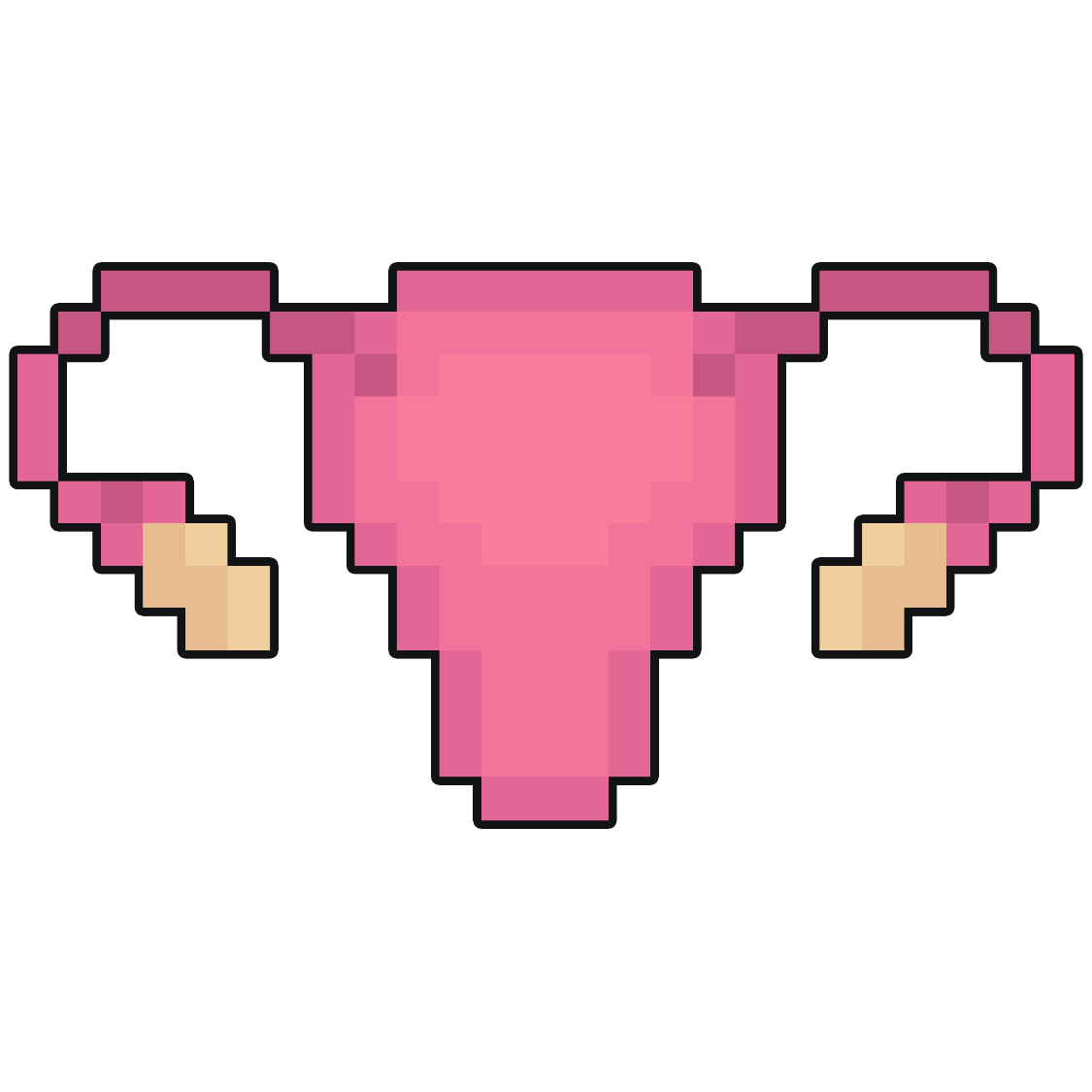 Bimanual Vaginal Examination (PV)