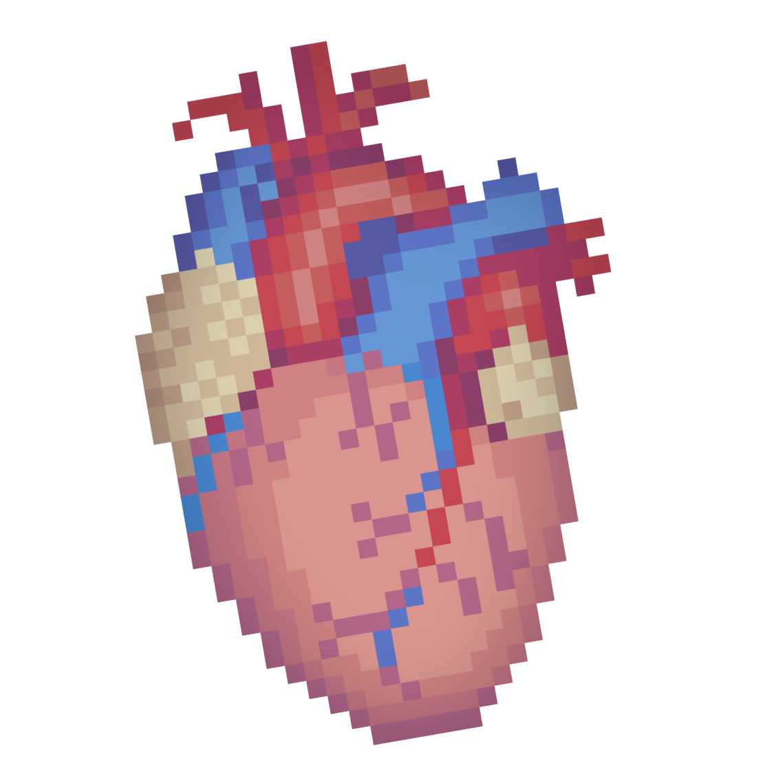 Acute Coronary Syndrome (ACS)