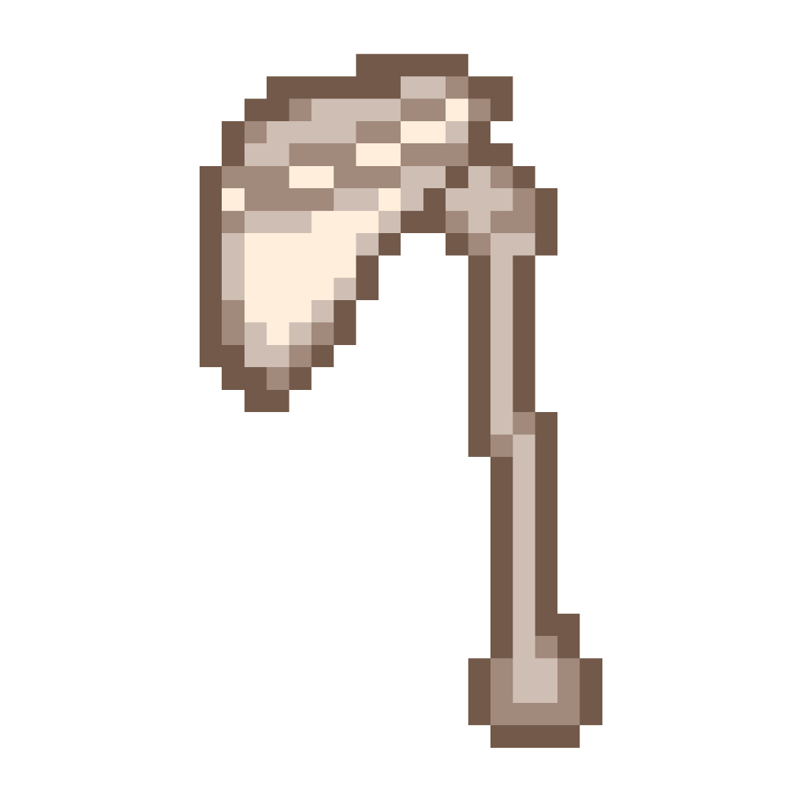 Shoulder Examination