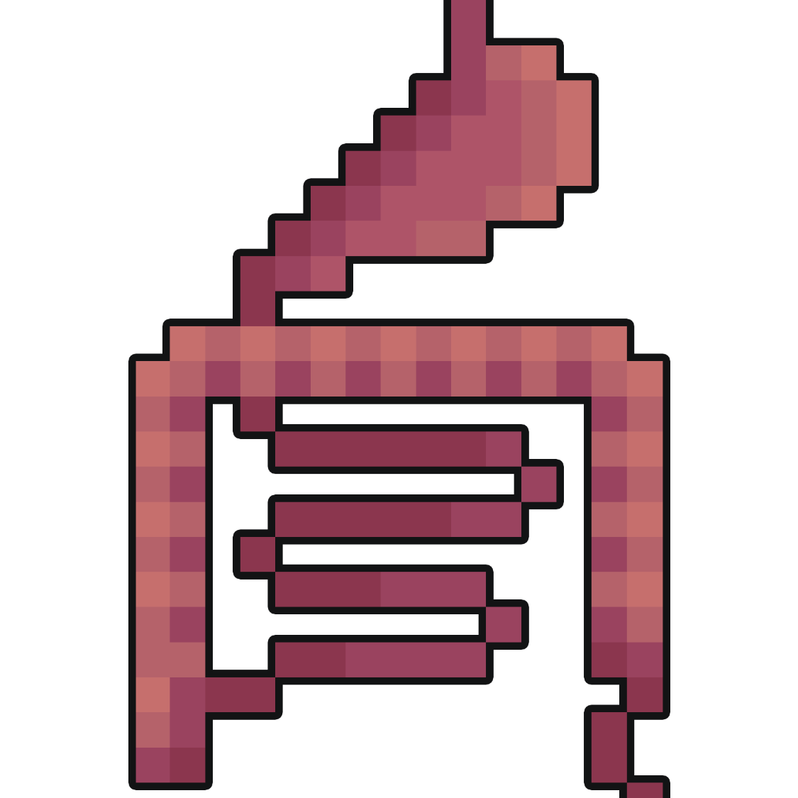 Explaining a Colonoscopy