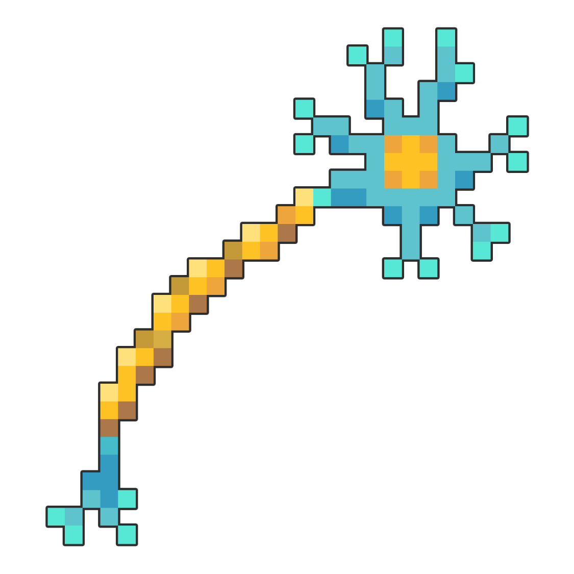 Dermatomes and Myotomes