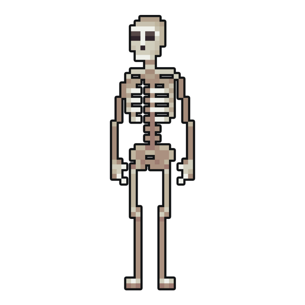 Skeleton illustration